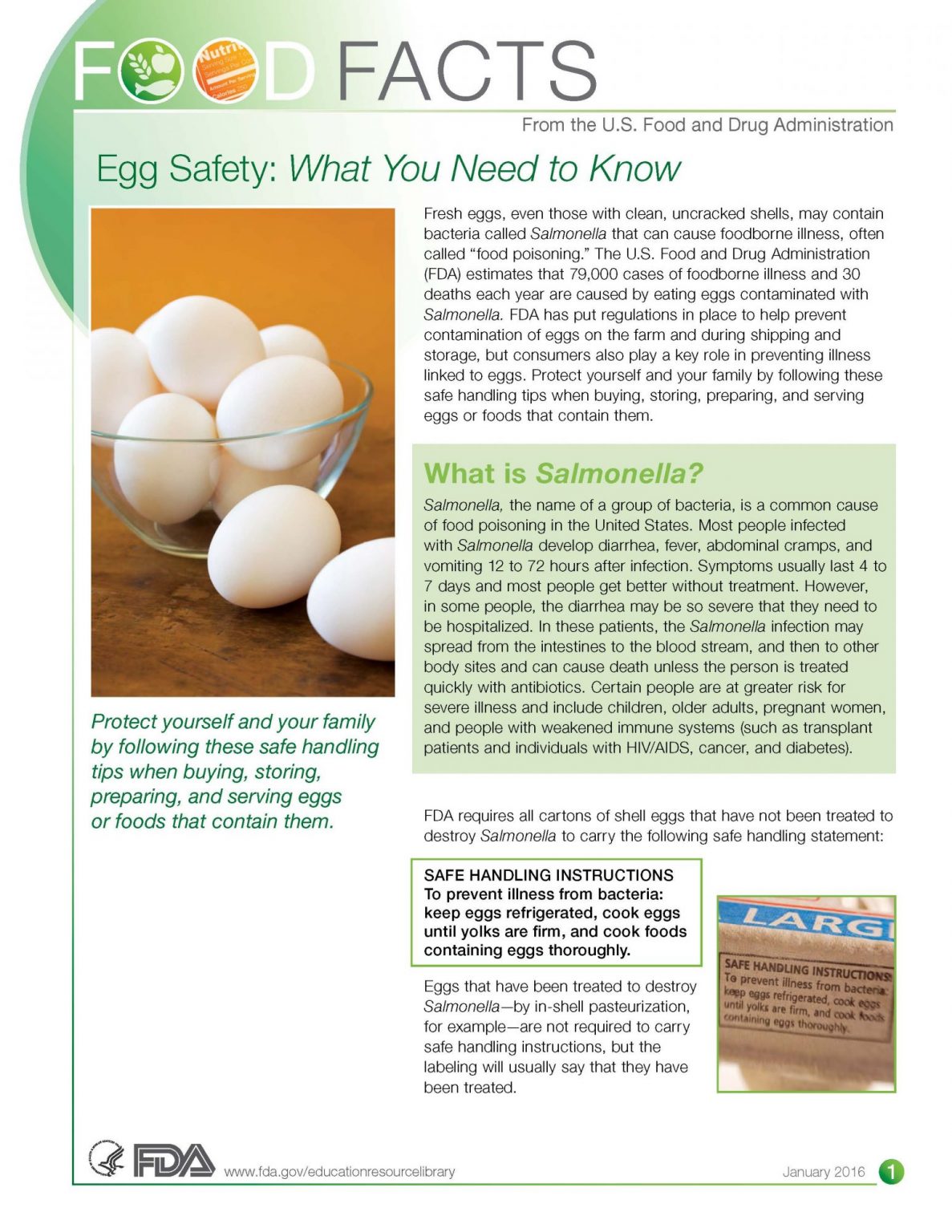 10. Egg Safety.