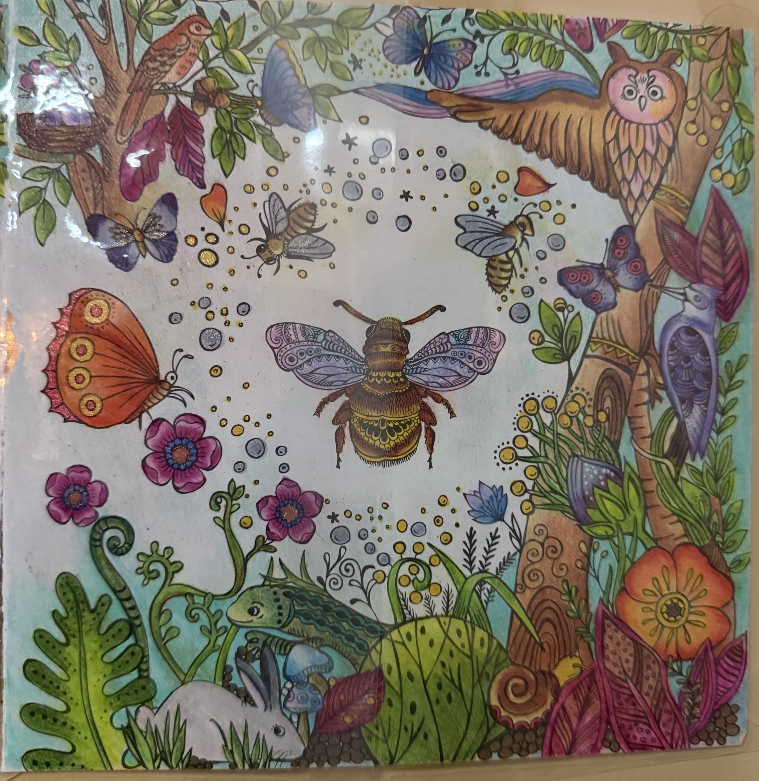 40hr STRTP Administrator Initial Certification Training