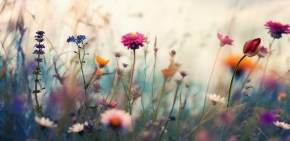 Medication & Psychotropic Medication
